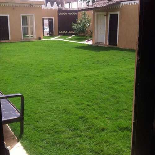 الرئيسية whatsapp image 2022 10 27 at 7.02.48 pm